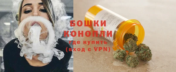 шишки Лабытнанги