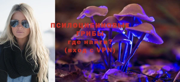 соль курить ск Лагань