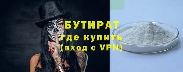 шишки Лабытнанги