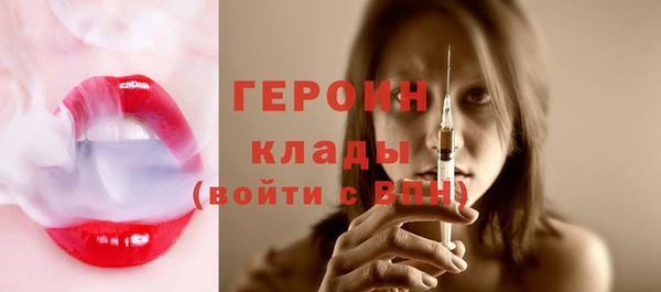 шишки Лабытнанги