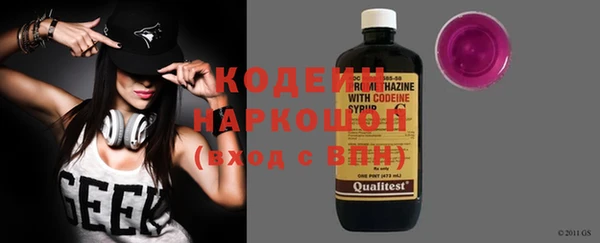шишки Лабытнанги