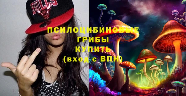 эйфоретик Липки