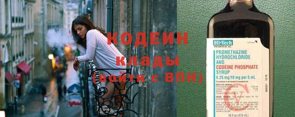 шишки Лабытнанги