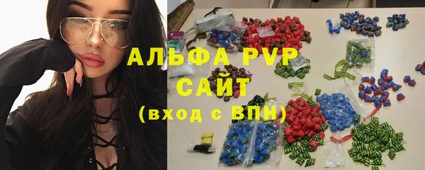 шишки Лабытнанги