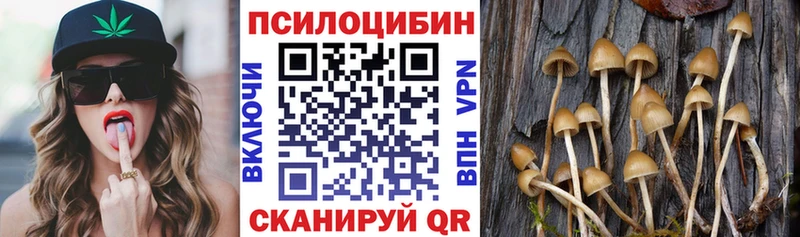 darknet официальный сайт Уяр кракен зеркало Псилоцибиновые грибы ЛСД купить наркоту